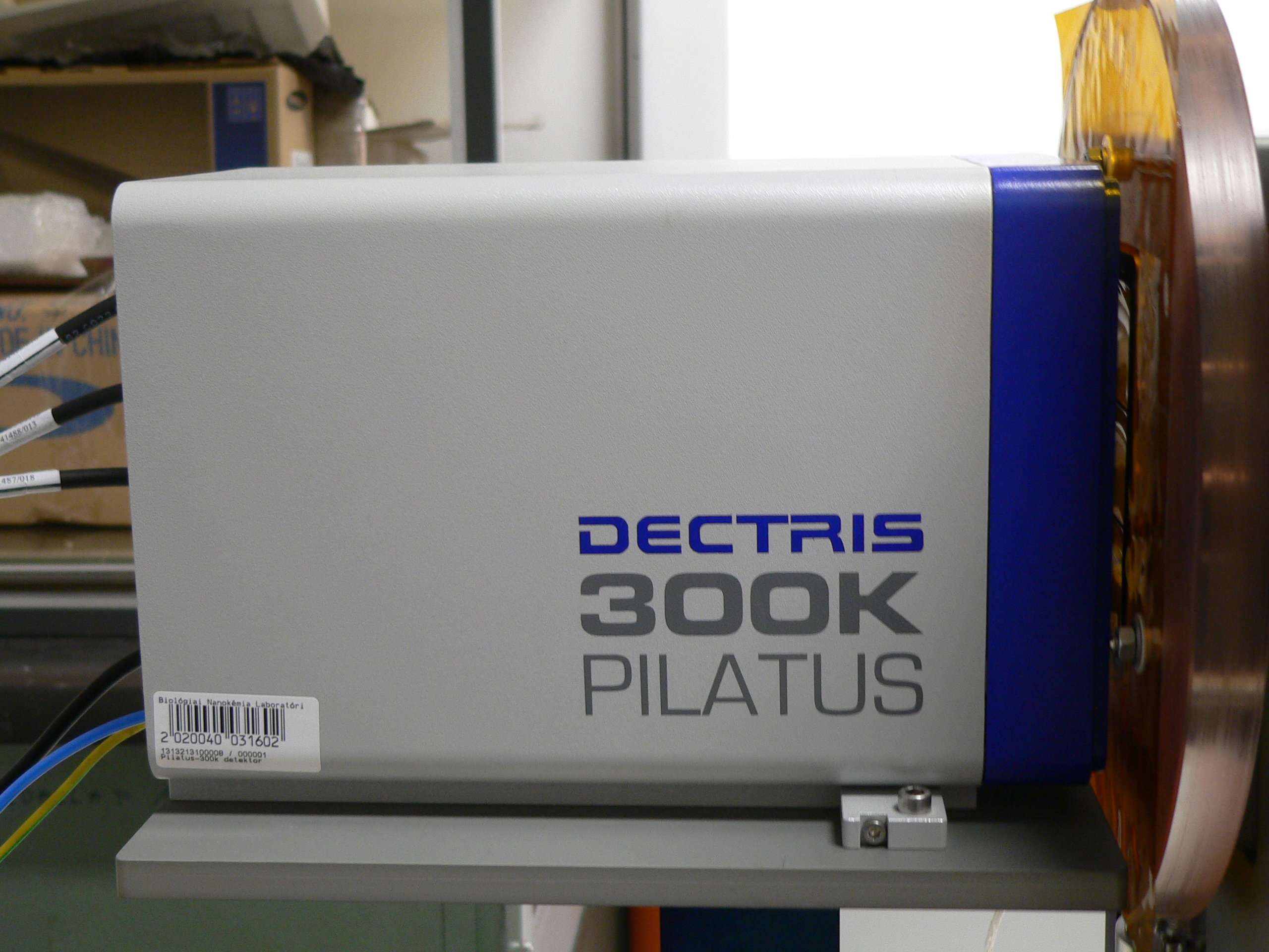 Pilatus-300k detector